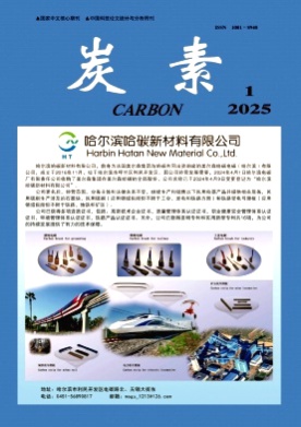 炭素杂志